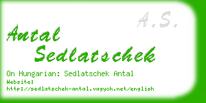 antal sedlatschek business card